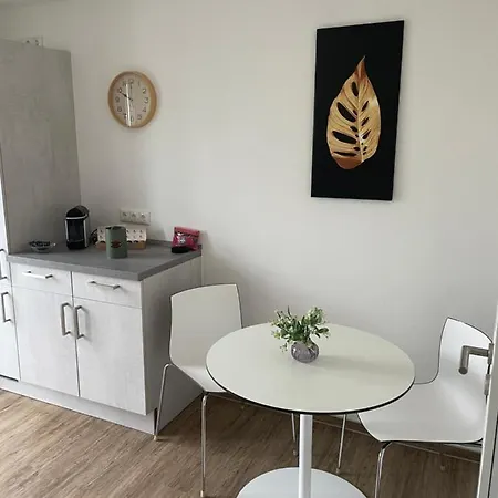 Am Fleurystr, Komfortabel, Zentral In Mit Parkplatz! Apartmán *