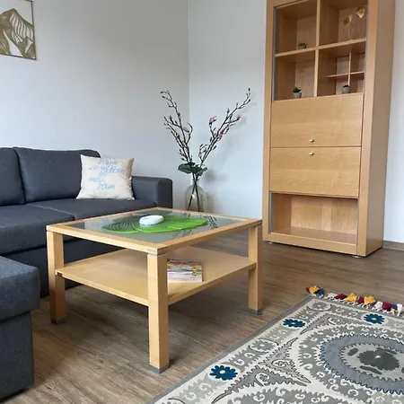 Apartmán Am Fleurystr, Komfortabel, Zentral In Mit Parkplatz!