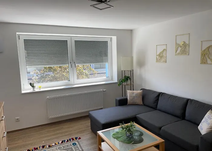 Am Fleurystr, Komfortabel, Zentral In Mit Parkplatz! アパート